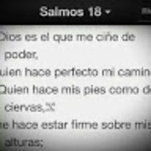 Meet your Posher, Diego